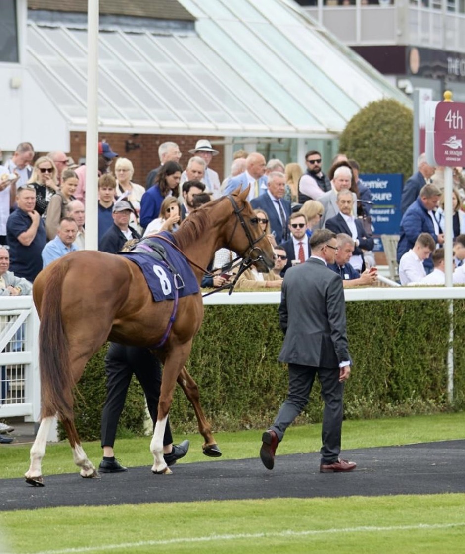 Newbury race results 15 May flat racing action at Newbury Racecourse