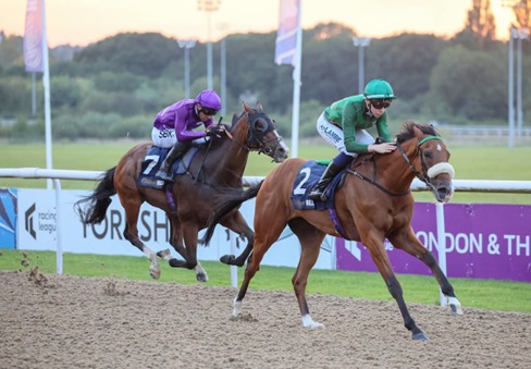 Wolverhampton Race Cards 18 May runners competing during the evening fixture