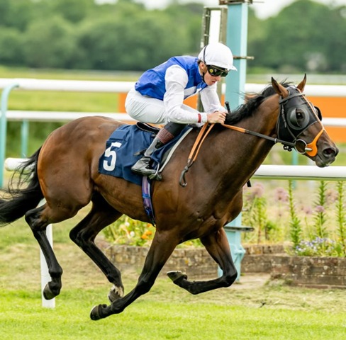 Lingfield Park Race Cards 18 May all-weather race fixture