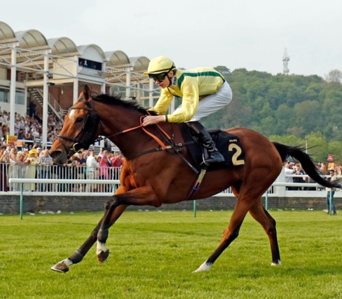 Nottingham Race Cards 19 May detailed competitive race preview
