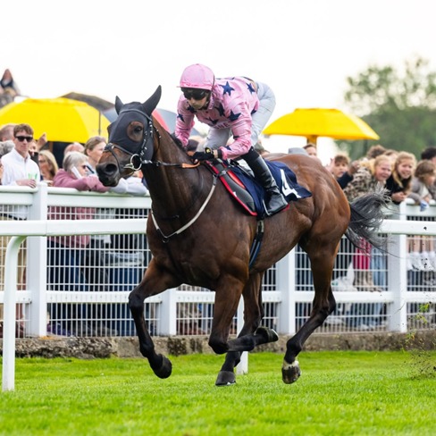 Windsor Race Results 18 May from the competitive evening fixture at Windsor Racecourse