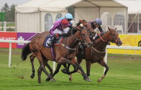 Great Yarmouth Race Cards 20 May evening racing fixture preview