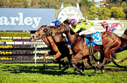 Warwick Farm Race Cards 20 May seven-race midweek programme