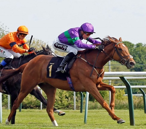 Nottingham Race Results 19 May racing action at Nottingham Racecourse
