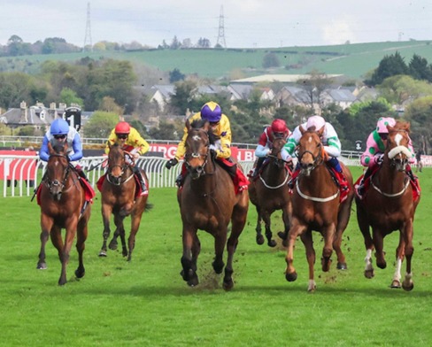 Musselburgh Race Cards 21 May Thursday race preview and runners