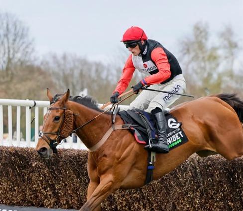 Haydock Park Race Cards 22 May featuring seven-race Friday action