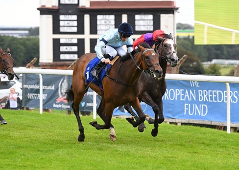 Pontefract Race Cards 22 May evening race meeting preview