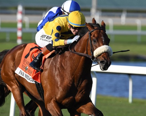 Aqueduct Race Cards 22 May featuring Friday's eight-race programme