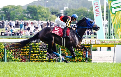 Tokyo Race Cards 23 May full 12 race programme detailed preview