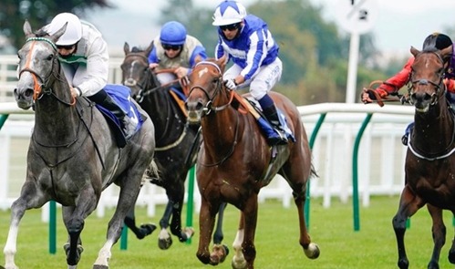 Salisbury Race Cards 23 May race programme preview at Salisbury Racecourse