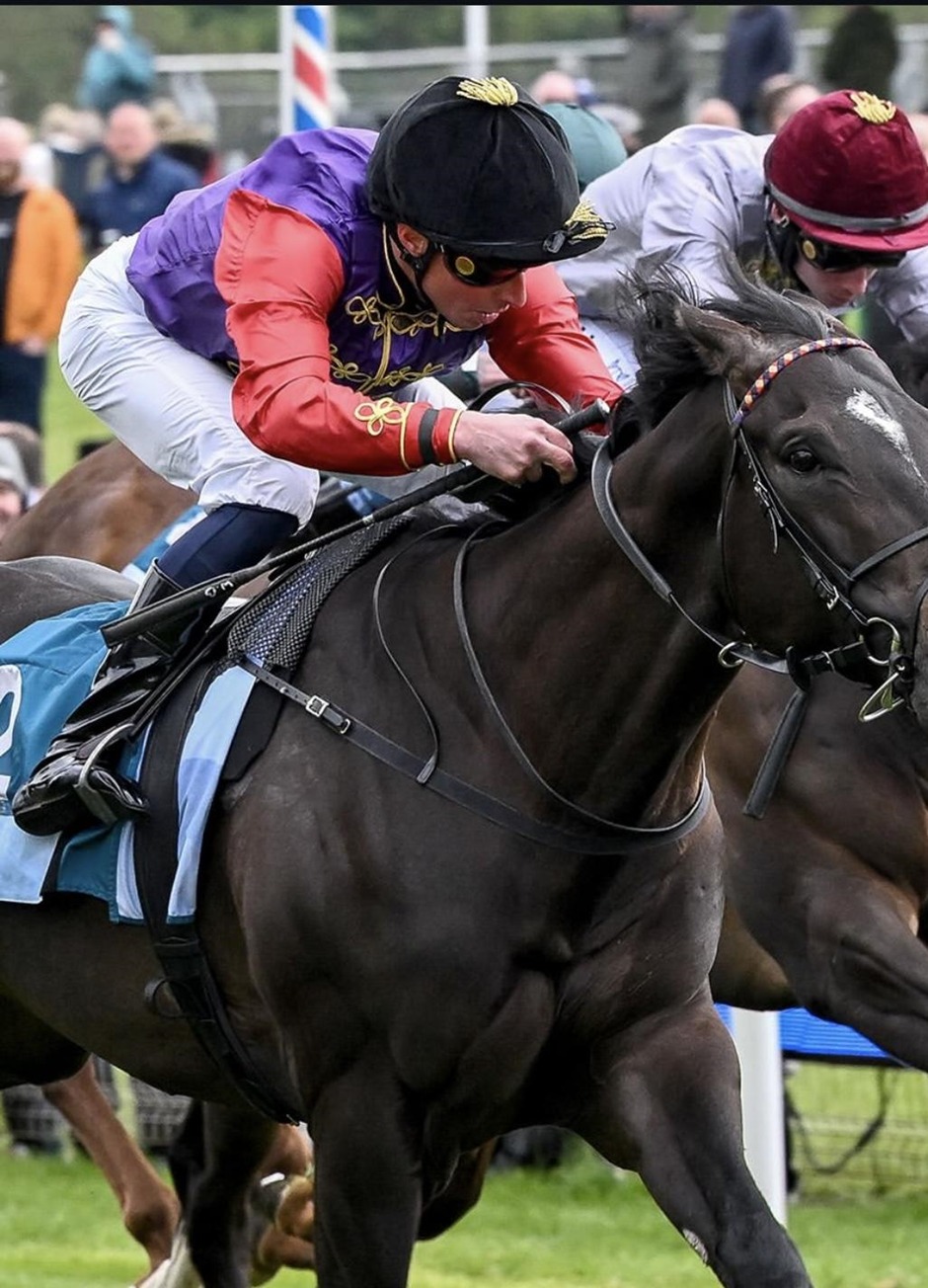 York racecards 23 May Saturday flat turf racing action at York Racecourse