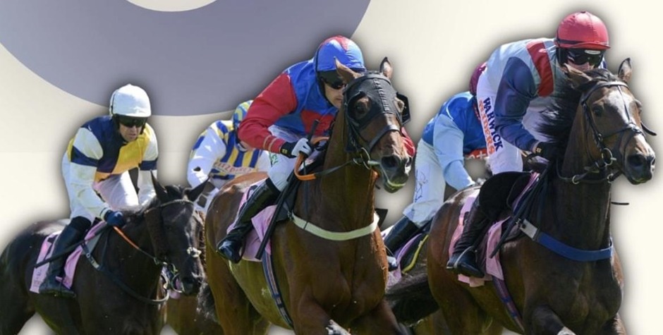 Cartmel racecards 23 May Saturday jump racing action at Cartmel Racecourse