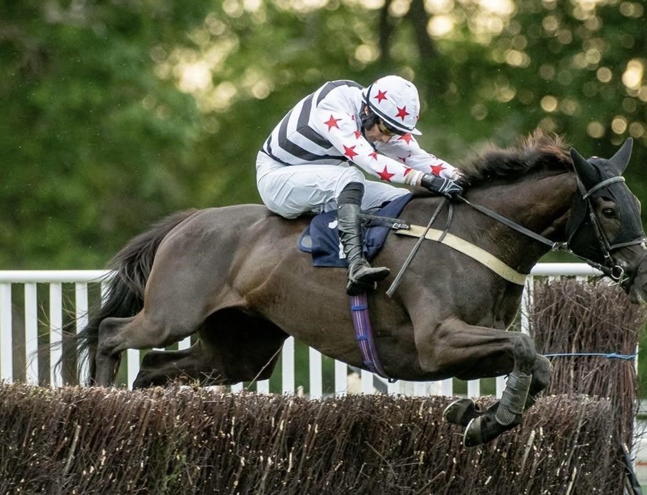 Fontwell Park racecards 24 May Sunday jump racing action at Fontwell Park Racecourse