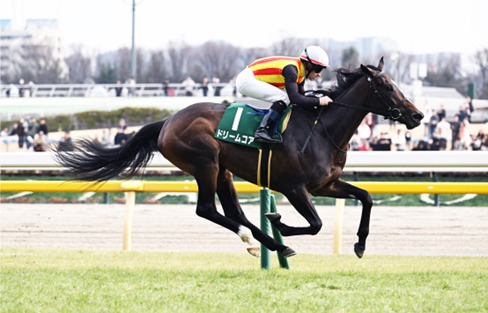 Tokyo Race Cards 24 May featuring the Japanese Oaks at Tokyo Racecourse