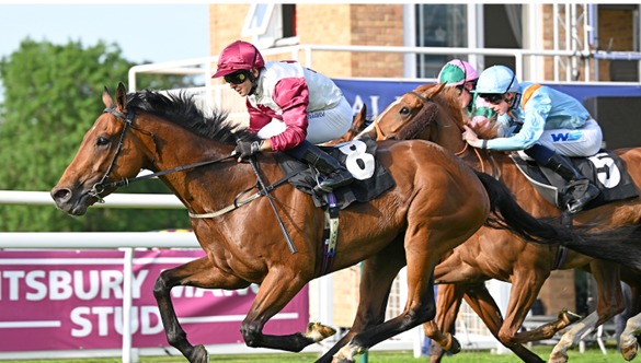 Salisbury Race Results 23 May featuring Marco Ghiani's riding double