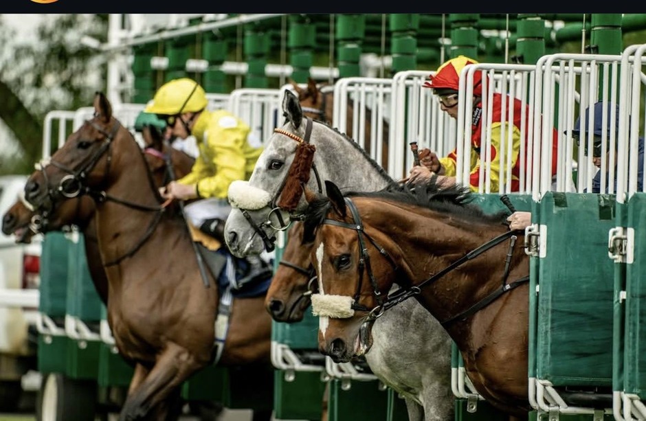 Windsor racecards 25 May Monday flat turf racing action at Windsor Racecourse