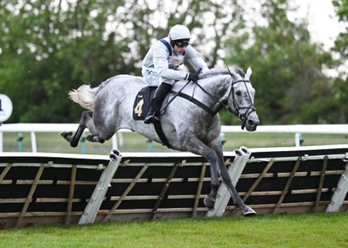 Huntingdon Race Cards 25 May six-race National Hunt fixture overview