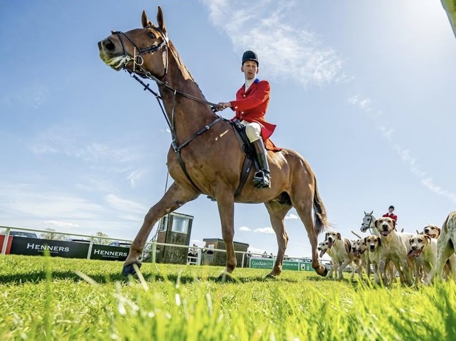 Plumpton racecards 26 May Tuesday jump racing action at Plumpton Racecourse