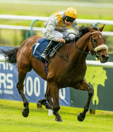 Lingfield Park Race Cards 26 May six-race evening programme overview