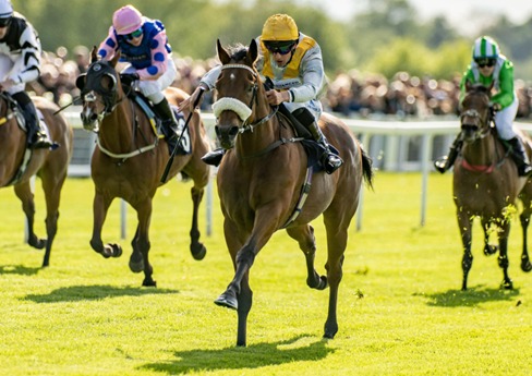 Windsor Race Results 25 May featuring Rob Hornby and leading winners
