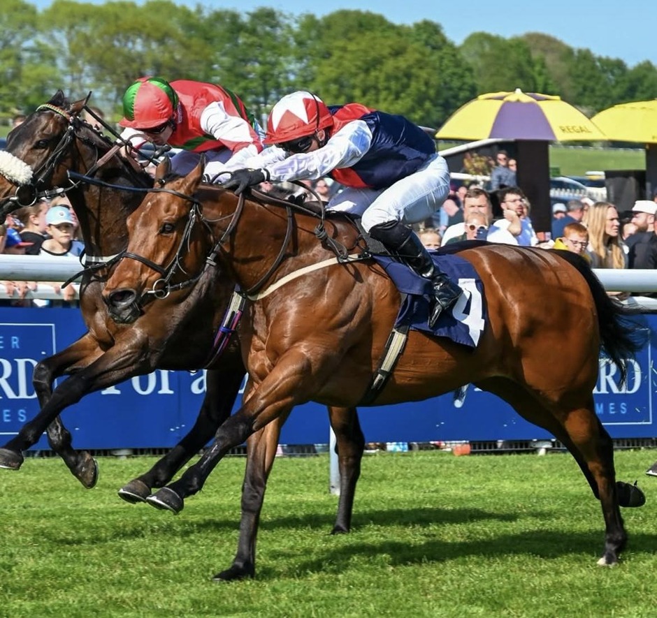 Beverley racecards 27 May Wednesday flat turf racing action at Beverley Racecourse