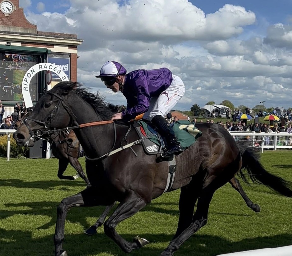 Ripon racecards 28 May Thursday flat turf racing action at Ripon Racecourse