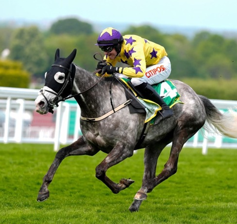 Sandown Race Cards 28 May feature a quality Thursday fixture at Sandown Park