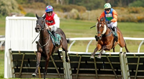 Market Rasen Race Cards 28 May evening programme featuring hurdle and chase contests