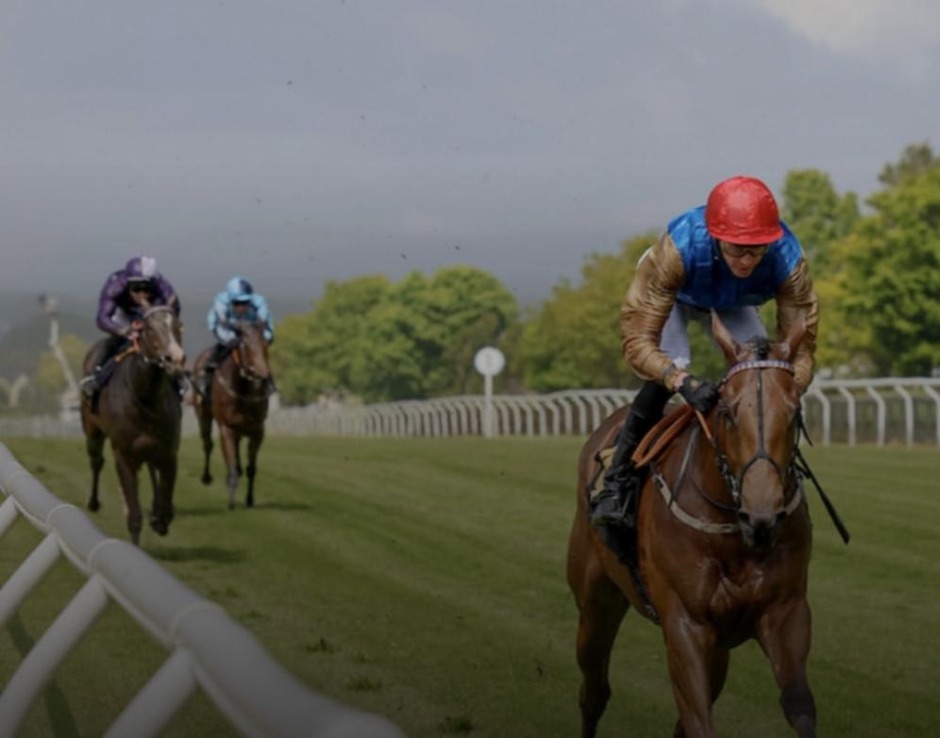 Carlisle racecards 29 May Friday flat turf racing action at Carlisle Racecourse