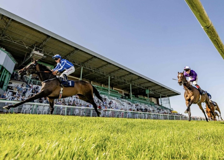 Brighton racecards 29 May Friday flat turf racing action at Brighton Racecourse