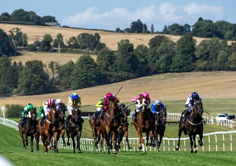 Chepstow Race Cards 29 May seven-race programme overview at Welsh countryside venue