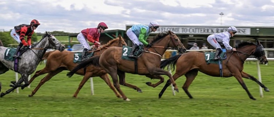 Catterick Bridge racecards 30 May Saturday flat turf racing action at Catterick Bridge Racecourse