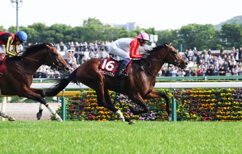Tokyo Race Cards 30 May preview featuring the Akhalteke Stakes at Tokyo Racecourse