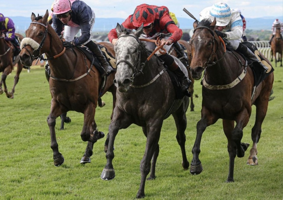 Carlisle race results 29 May Friday flat racing action at Carlisle Racecourse