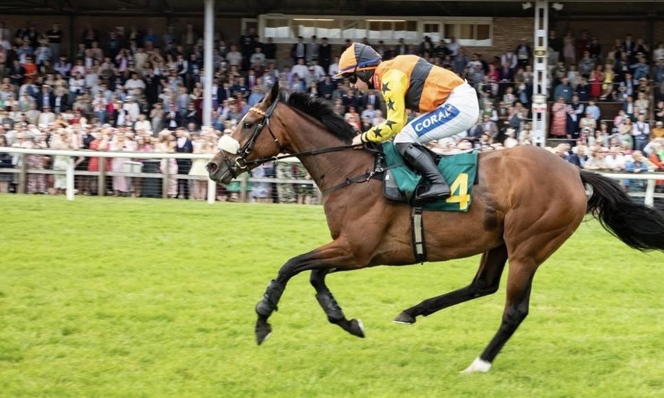 Fakenham racecards 31 May Sunday jump racing action at Fakenham Racecourse
