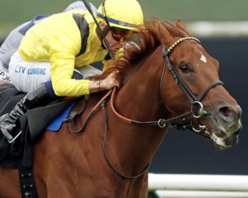 Nottingham racecards 31 May Sunday flat turf racing action at Nottingham Racecourse
