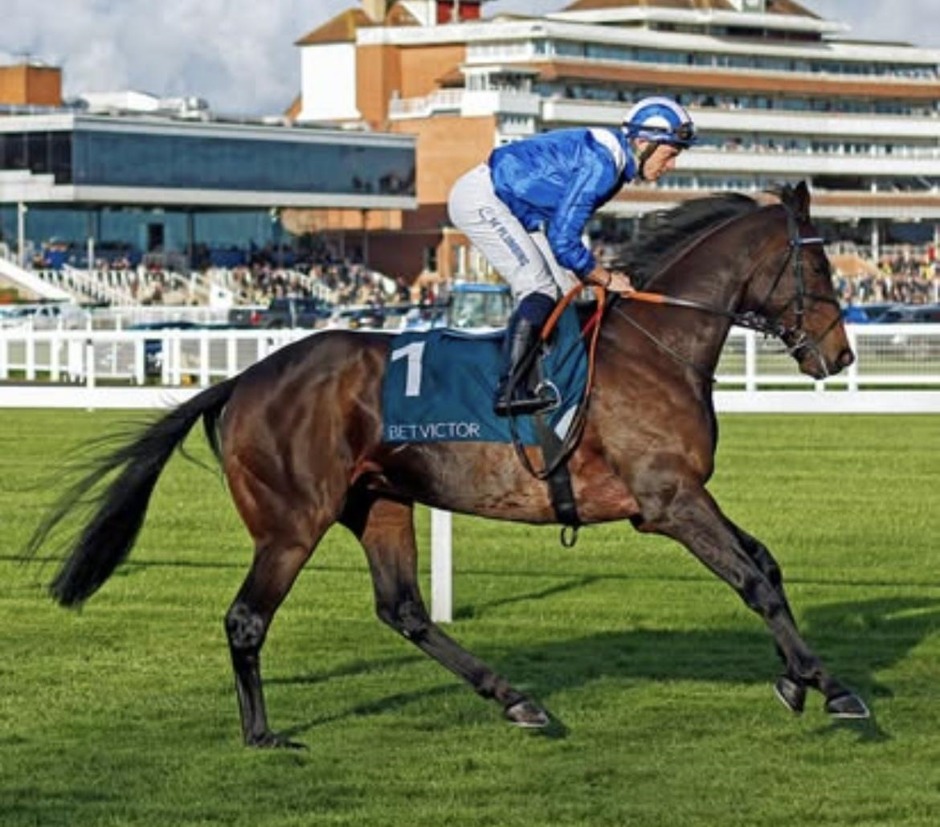 Newbury racecards 1 June Monday flat turf racing action at Newbury Racecourse