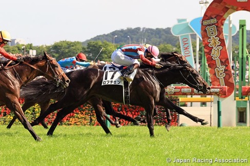 Tokyo Race Results 31 May showing Lovcen winning the Japanese Derby at Tokyo Racecourse