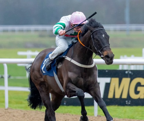 Wolverhampton Race Cards 1 June all-weather racing preview at Wolverhampton