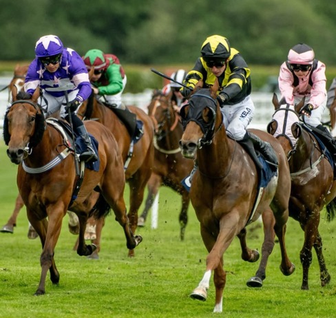 Lingfield Park Race Cards 1 June all-weather racing with competitive six-race card