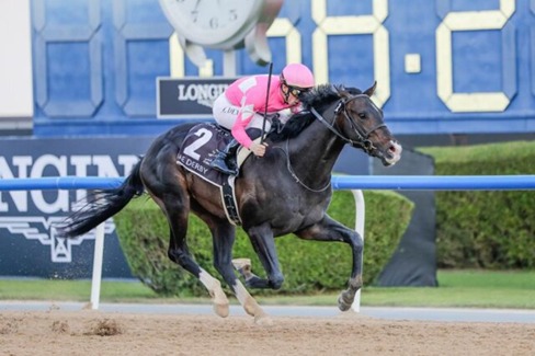 Kentucky Derby Race Cards 2 May Grade I field at Churchill Downs