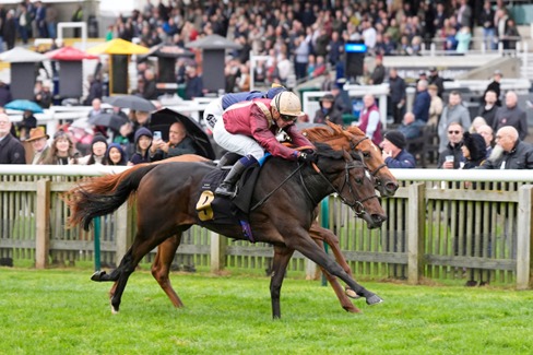 Elite field assembled for 2000 Guineas Stakes Newmarket Race Cards 2 May