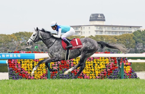 Tenno Sho Spring runners competing for Kyoto Race Cards 3 May at Kyoto Racecourse