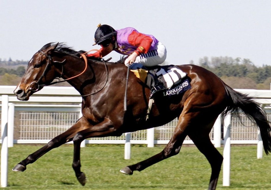 Ascot race results 1 May Friday flat racing action at Ascot Racecourse