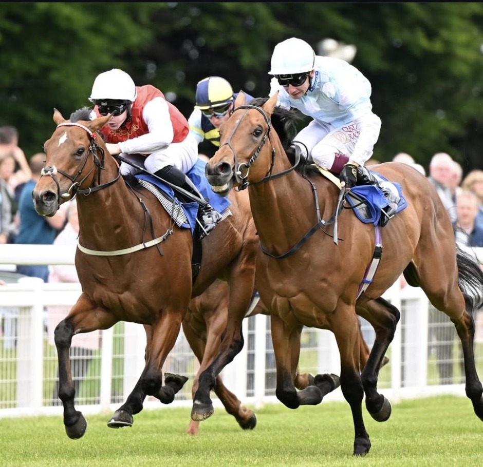 Salisbury racecards 3 May Sunday flat turf racing action at Salisbury Racecourse