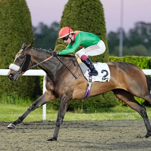 Kempton Park Race Cards 4 May all-weather race meeting full card