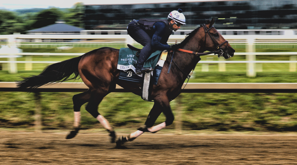 Preakness Stakes field assembled at Laurel Park