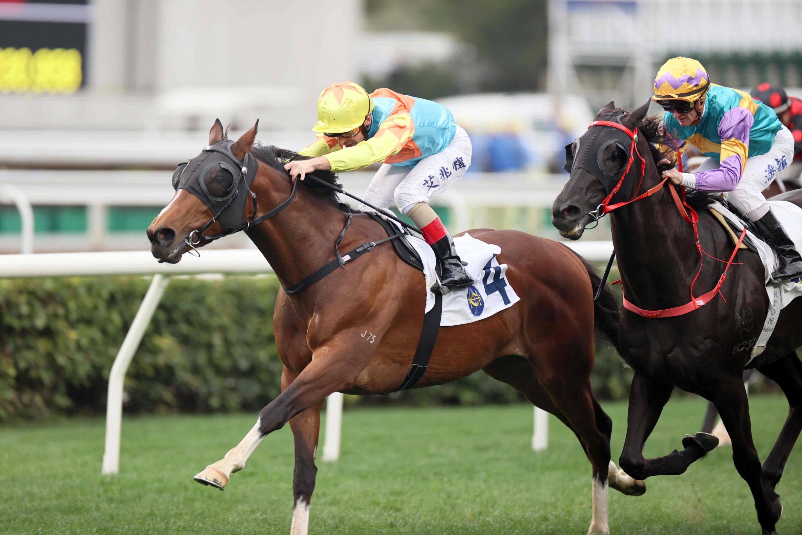 Ka Ying Generation and Romantic Warrior in Champions & Chater Cup at Sha Tin