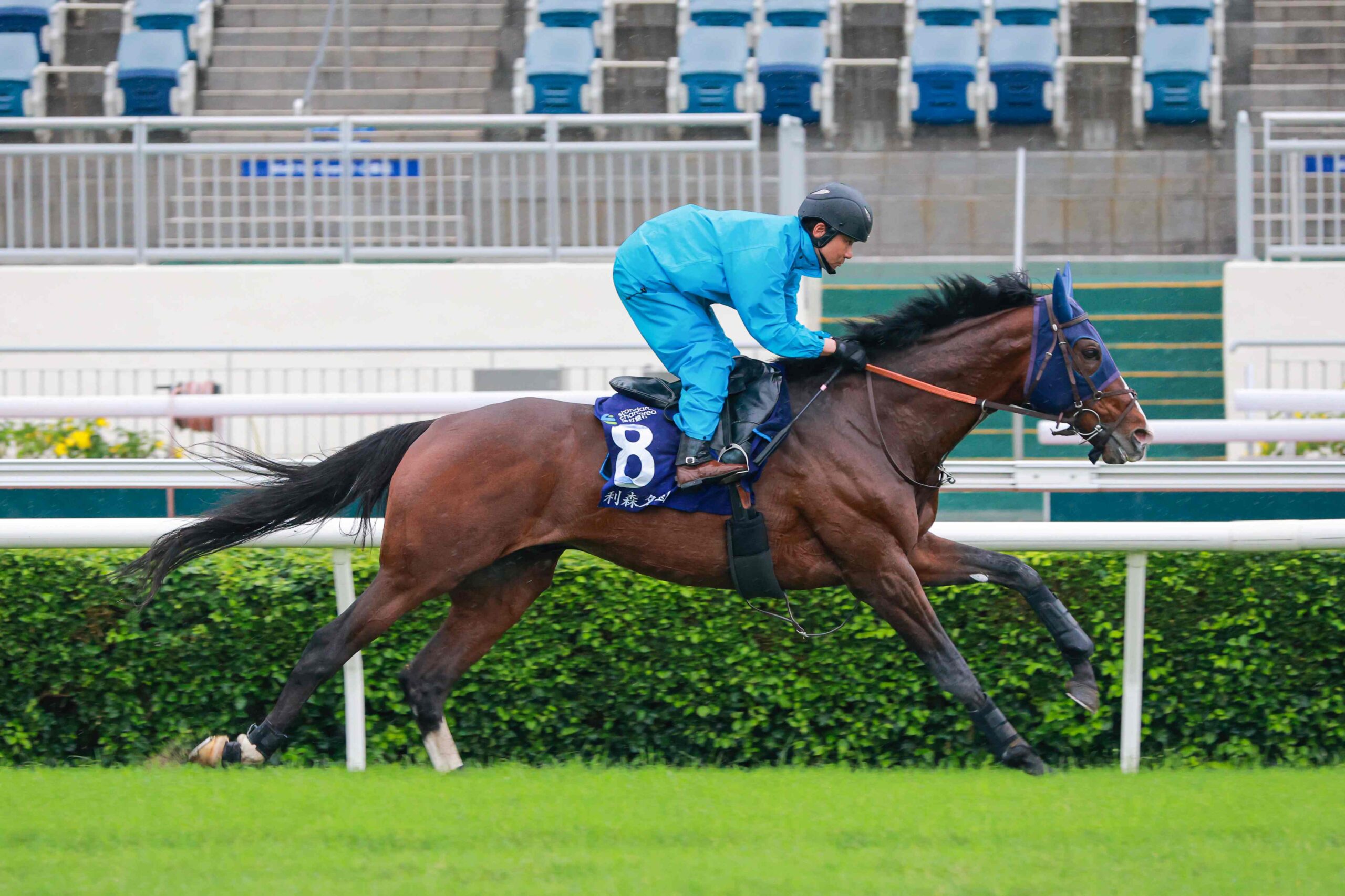 Sha Tin Champions & Chater Cup 2026 Preview : Romantic Warrior leads Champions & Chater Cup 2026 field at Sha Tin