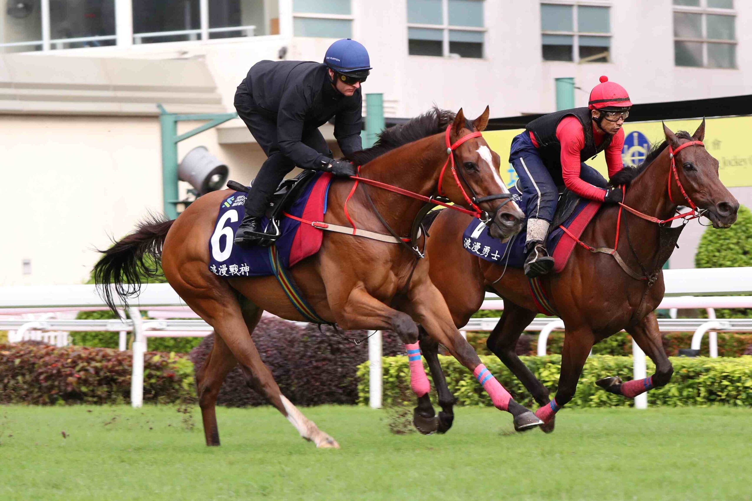 Romantic Thor galloping at Sha Tin track during morning work